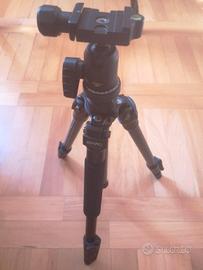 Cavalletto estensibile marca Benro completo di cus