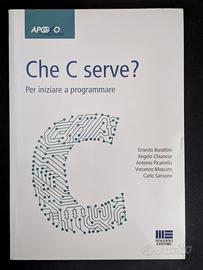 Libro di testo per ingegneria e informatica