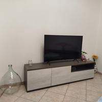 mobile tv