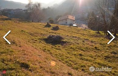 Terreno edificabile a cinque minuti da Sarnico