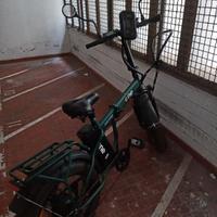 Bici elettrica