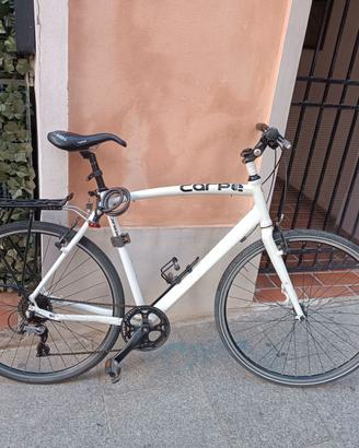 Bicicletta Orbea Carpe