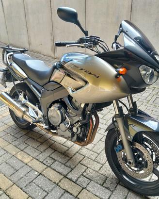 YAMAHA TDM 900 