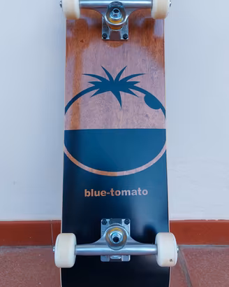 Skateboard 8.0