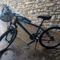 Bicicletta mountain bike bambino 9/12