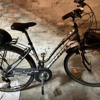 Bici da cicloturismo