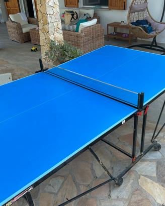 Tavolo da ping pong