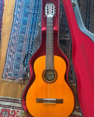 Chitarra DiGiorgio