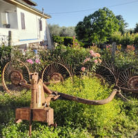 Fieno, ranchinatore, pressa, barra falciante