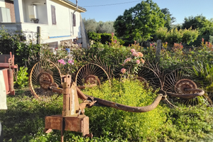 Fieno, ranchinatore, pressa, barra falciante