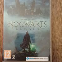   Hogwarts Legacy  Nintendo switch