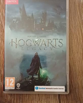  Hogwarts Legacy  Nintendo switch