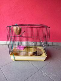 Gabbiette per uccelli
