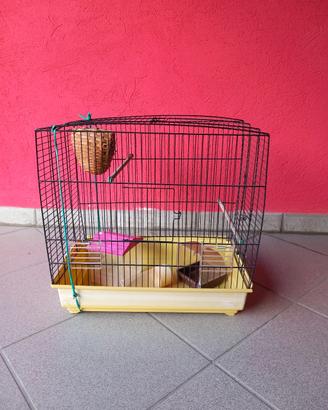 Gabbiette per uccelli