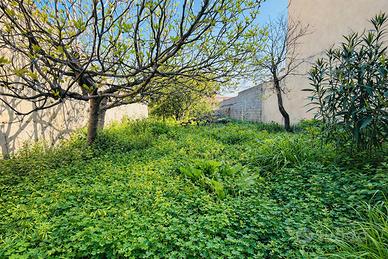 Terralba - Stabile bilivelli con due appartamenti