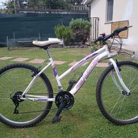 bici mbt