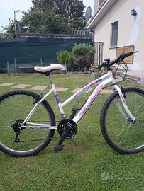 bici mbt