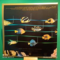 Disco Vinile 33. Stevie Wonder. (Ricordi )