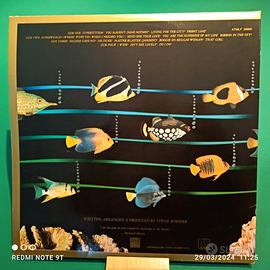 Disco Vinile 33. Stevie Wonder. (Ricordi )