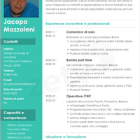 Tuttofare,metalmeccanico industriale