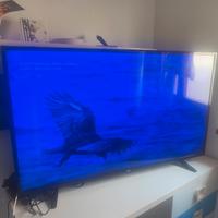 LG 49LH510V