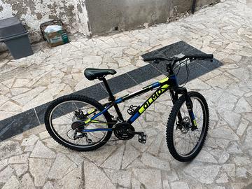 bici olmo 24