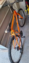 bicicletta 26
