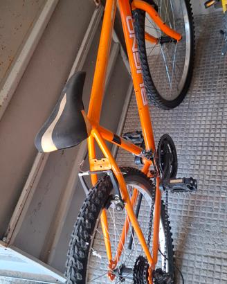 bicicletta 26