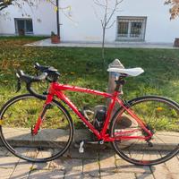 Specialized Allez Comp