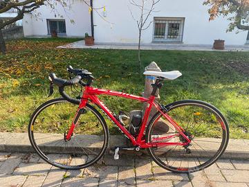Specialized Allez Comp