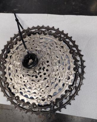 pacco pignoni Shimano XT 12v. 