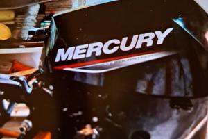 MOTORE FUORIBORDO 20 HP ELETTRICO