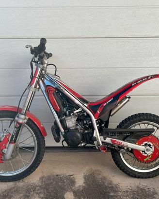 Gas Gas MiniTrial 50