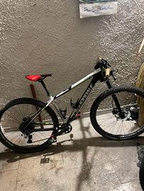 cannondale lefty f29