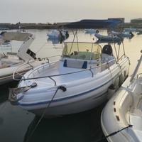 Barca a motore Ranieri