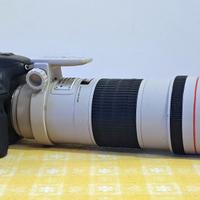 Canon 7D Mark II + 300mm f/4 L + 1.4x Kit Pro