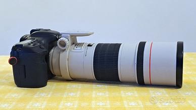 Canon 7D Mark II + 300mm f/4 L + 1.4x Kit Pro