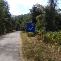 Terreno di 2 ettari in rivello(pz)