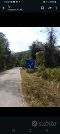 Terreno di 2 ettari in rivello(pz)