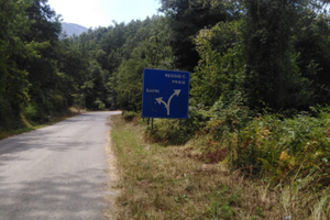 Terreno di 2 ettari in rivello(pz)