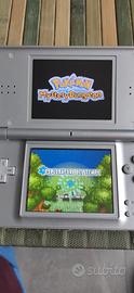 Pokemon mystery dungeon 