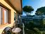 Immagine 16