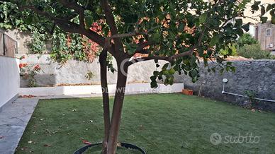 Appartamento indipendente - Catania