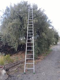 Scala Conica in allumio per raccolta olive mt.  5