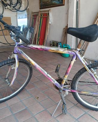 Mountain Bike