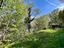 Immagine 26
