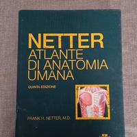 Netter, atlante di a anatomia umana V ed.