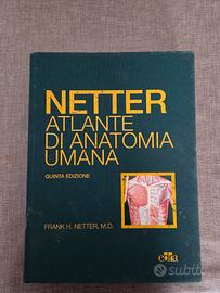 Netter, atlante di a anatomia umana V ed.
