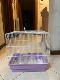 Gabbia per uccellini
