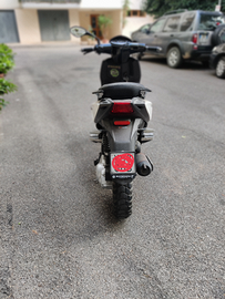 New typhoon 50 2t 2012